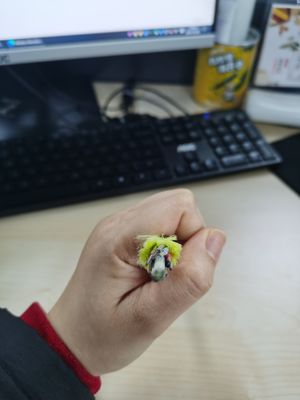 کابل فیبر نوری ADSS تک ژاکت غیر فلزی 6/12/24/48/96 هسته 100/200 متر دهانه G652D